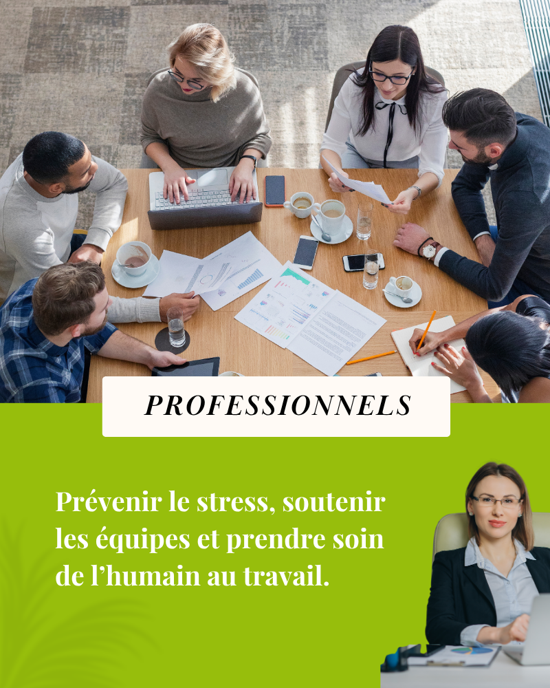 Interventions SylvoZen auprès des professionnels pour prévenir le stress et soutenir les équipes